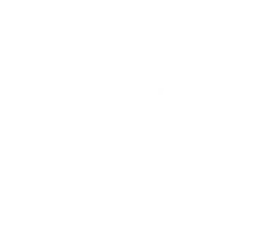 Organizador 1