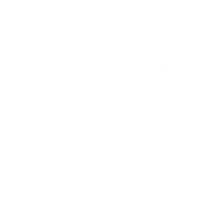 Organizador 2