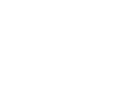 Organizador 3