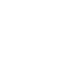 Organizador 4